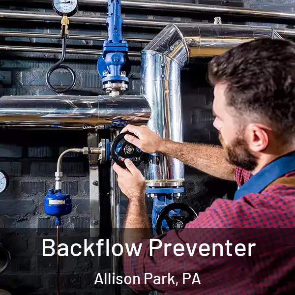  Backflow Preventer Allison Park, PA