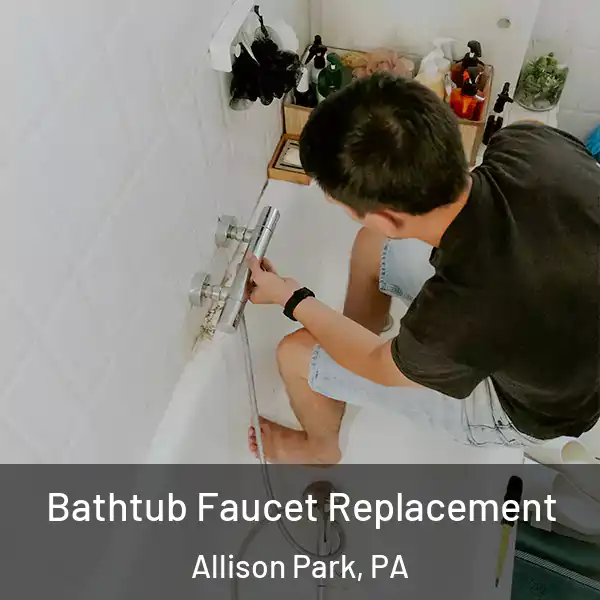  Bathtub Faucet Replacement Allison Park, PA