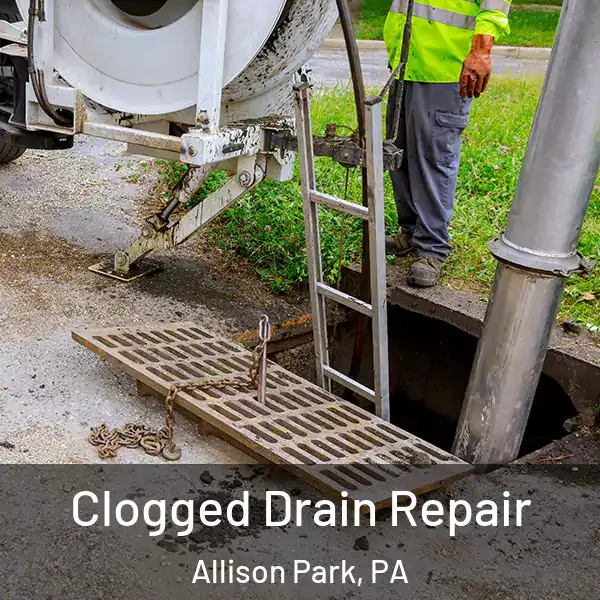  Clogged Drain Repair Allison Park, PA