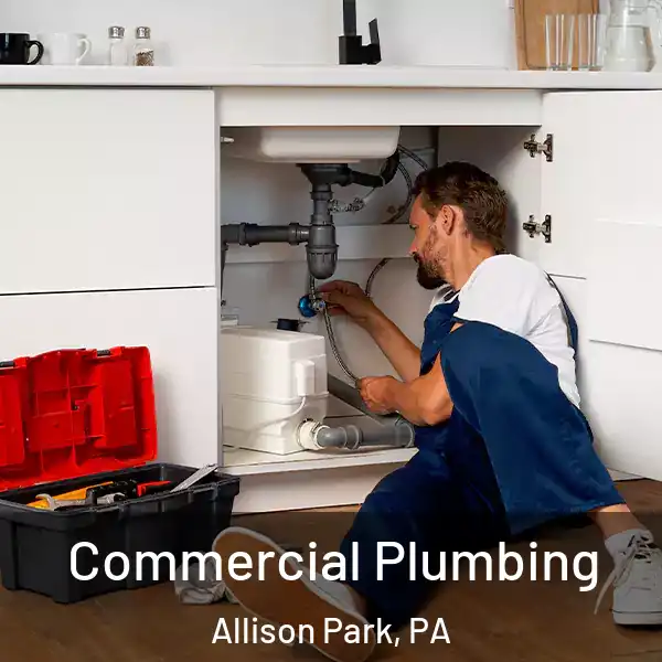  Commercial Plumbing Allison Park, PA