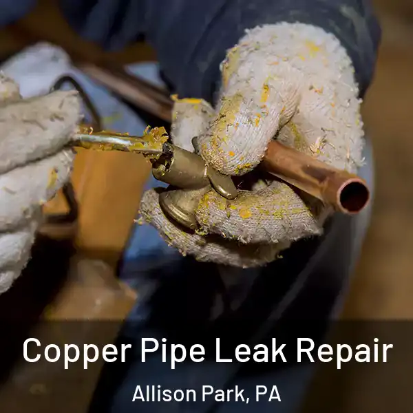  Copper Pipe Leak Repair Allison Park, PA