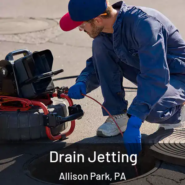  Drain Jetting Allison Park, PA