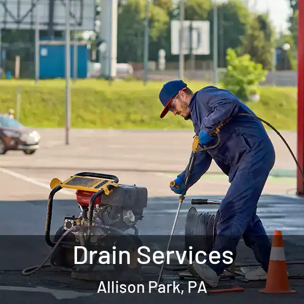 Drain Services Allison Park, PA