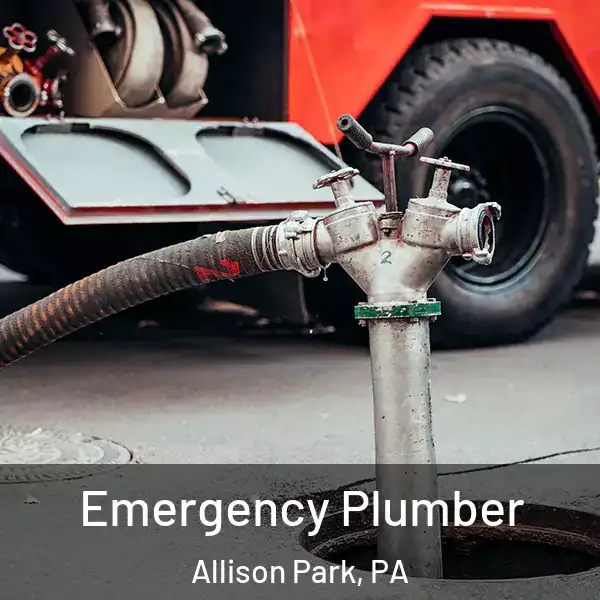  Emergency Plumber Allison Park, PA