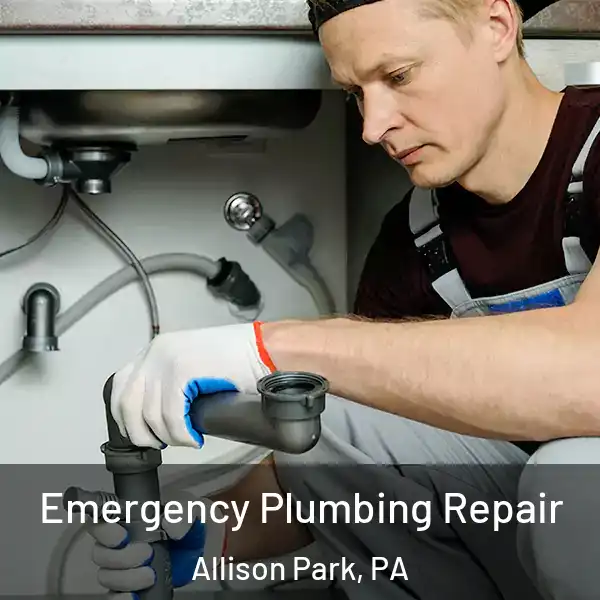  Emergency Plumbing Repair Allison Park, PA