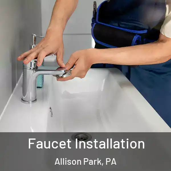  Faucet Installation Allison Park, PA