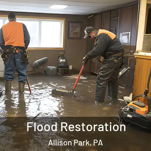  Flood Restoration Allison Park, PA