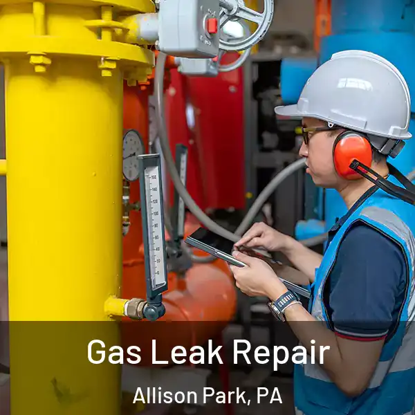  Gas Leak Repair Allison Park, PA