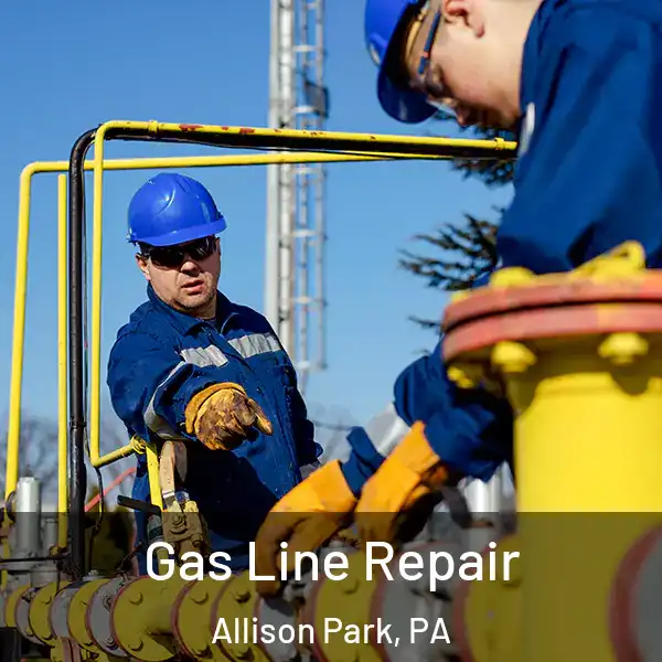  Gas Line Repair Allison Park, PA