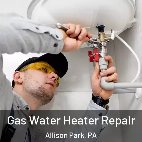  Gas Water Heater Repair Allison Park, PA