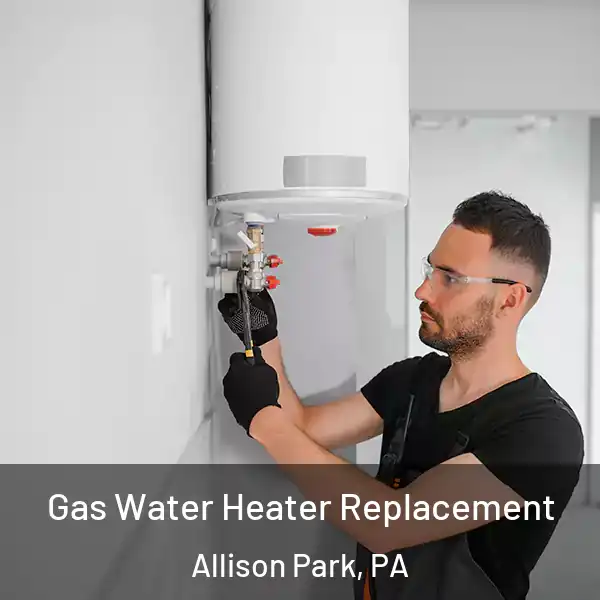  Gas Water Heater Replacement Allison Park, PA