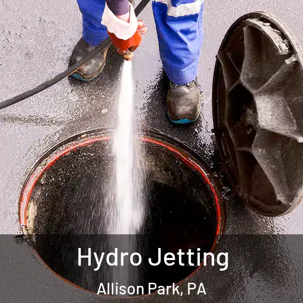  Hydro Jetting Allison Park, PA