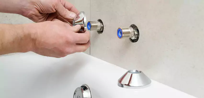 Bathtub Faucet Diverter Replacement in Allison Park