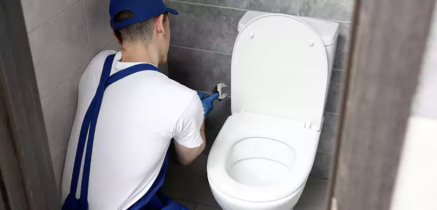 Toilet Lid Replacement in Allison Park
