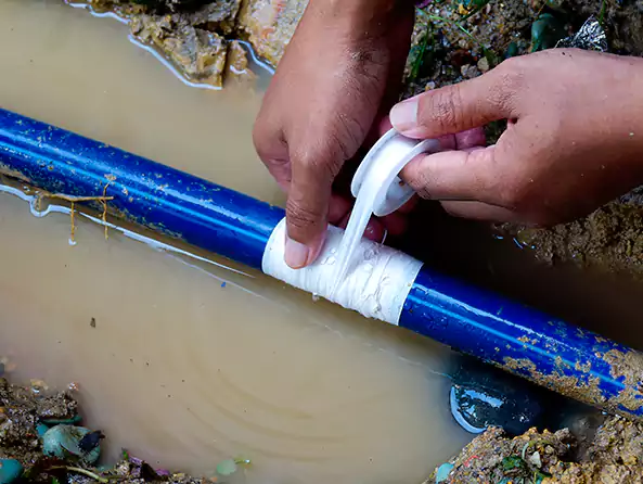  Why Choose Allison Park Plumbing Pro for Leak Detection in Allison Park, PA?]