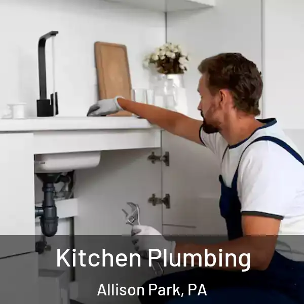  Kitchen Plumbing Allison Park, PA