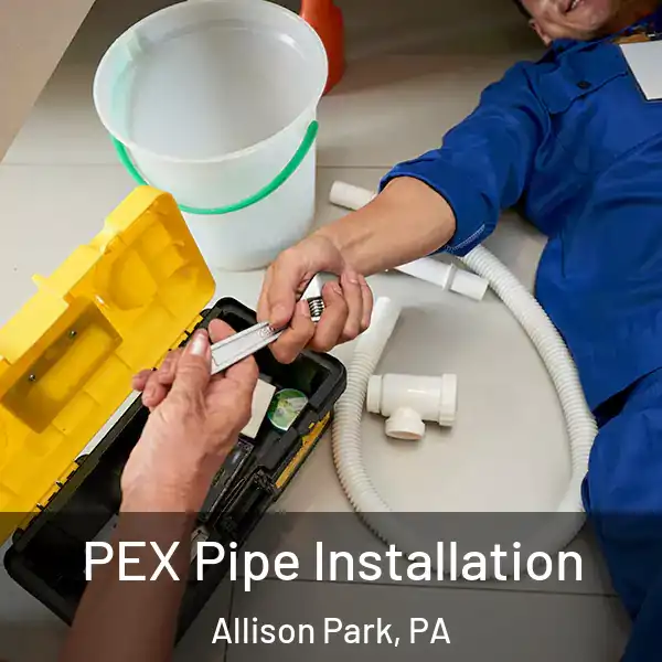  PEX Pipe Installation Allison Park, PA