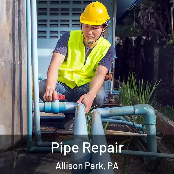  Pipe Repair Allison Park, PA
