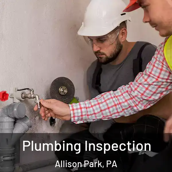  Plumbing Inspection Allison Park, PA