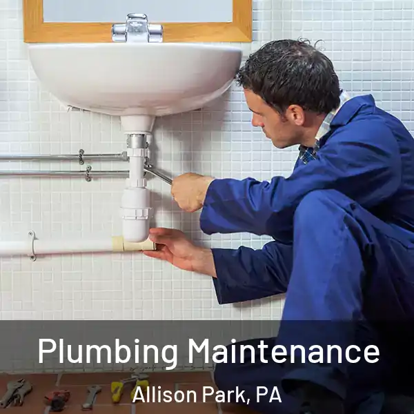  Plumbing Maintenance Allison Park, PA