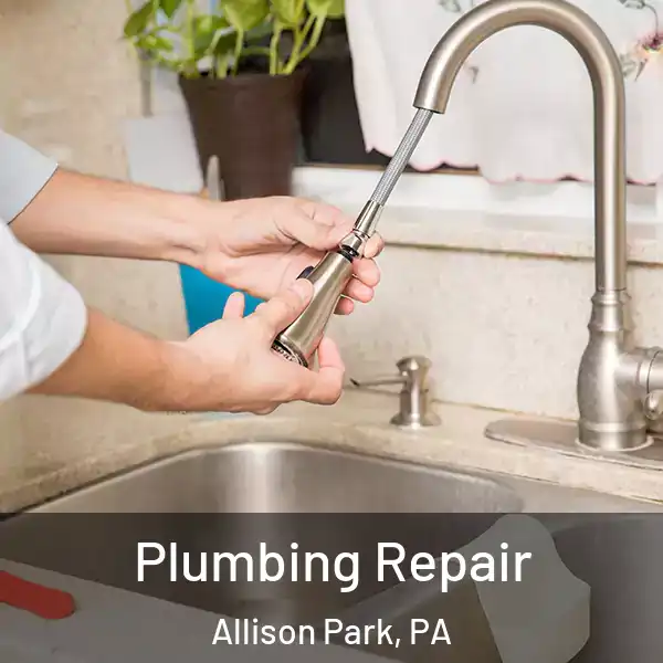  Plumbing Repair Allison Park, PA