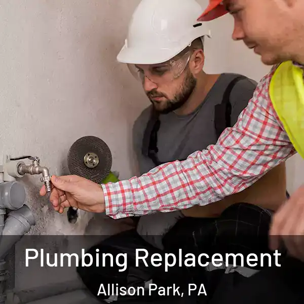  Plumbing Replacement Allison Park, PA
