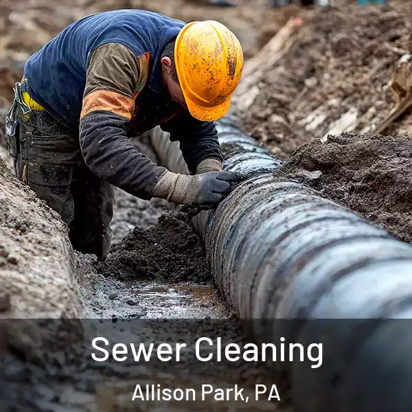  Sewer Cleaning Allison Park, PA