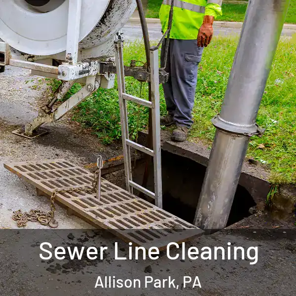 Sewer Line Cleaning Allison Park, PA