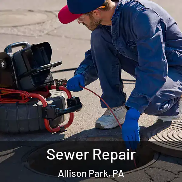  Sewer Repair Allison Park, PA
