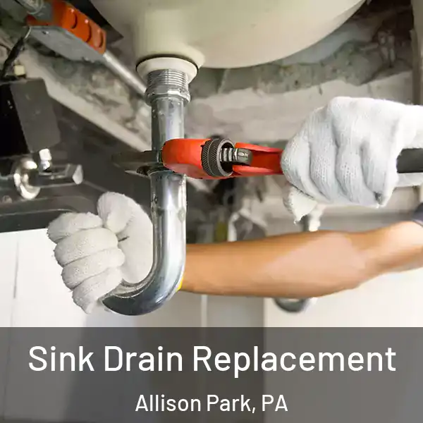  Sink Drain Replacement Allison Park, PA