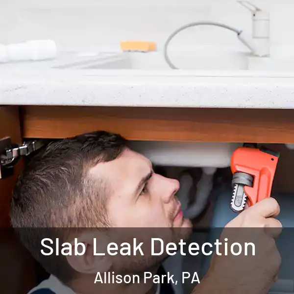  Slab Leak Detection Allison Park, PA