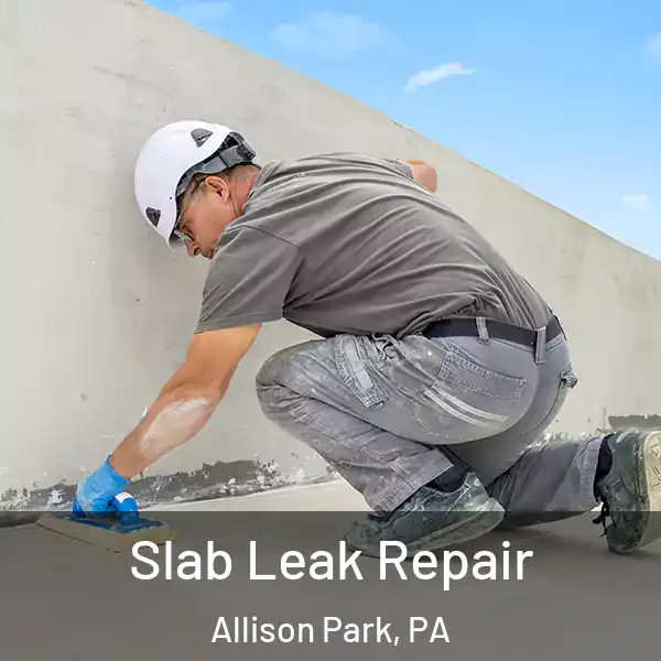  Slab Leak Repair Allison Park, PA
