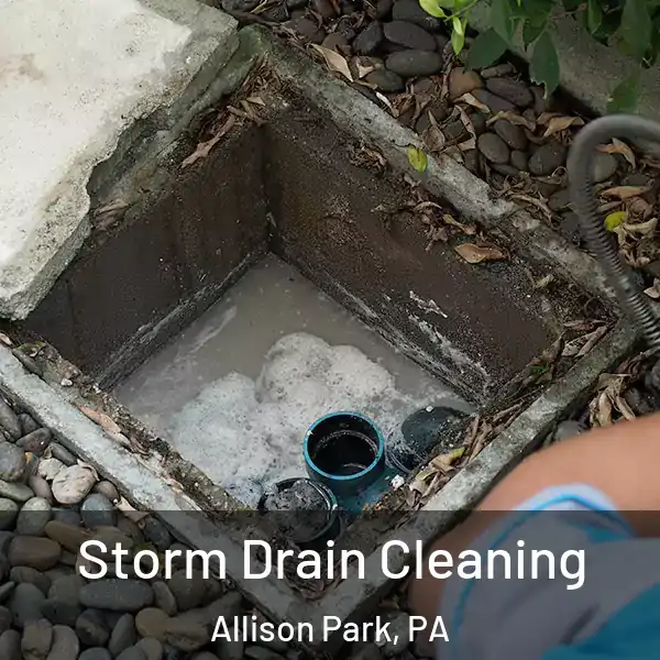  Storm Drain Cleaning Allison Park, PA