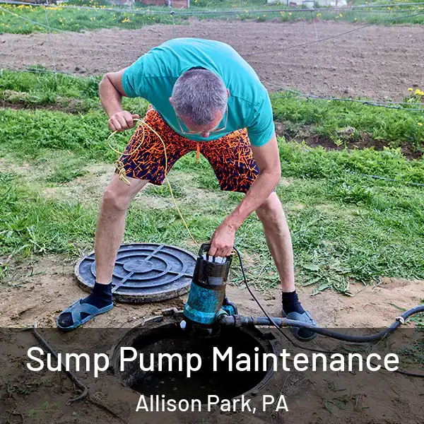  Sump Pump Maintenance Allison Park, PA