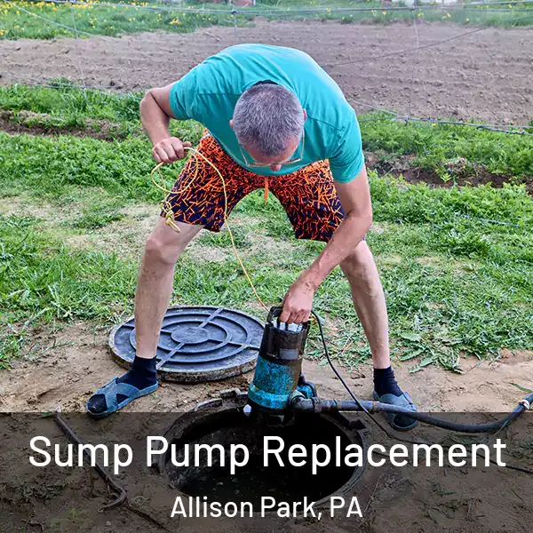  Sump Pump Replacement Allison Park, PA