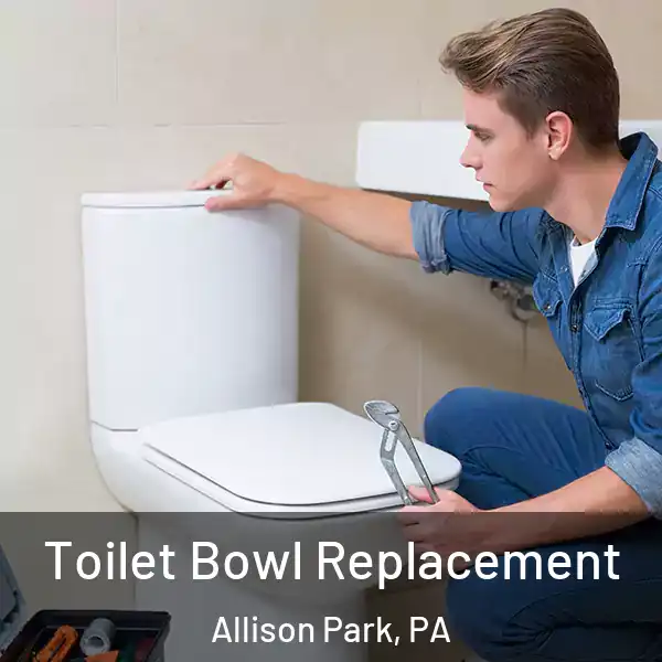  Toilet Bowl Replacement Allison Park, PA