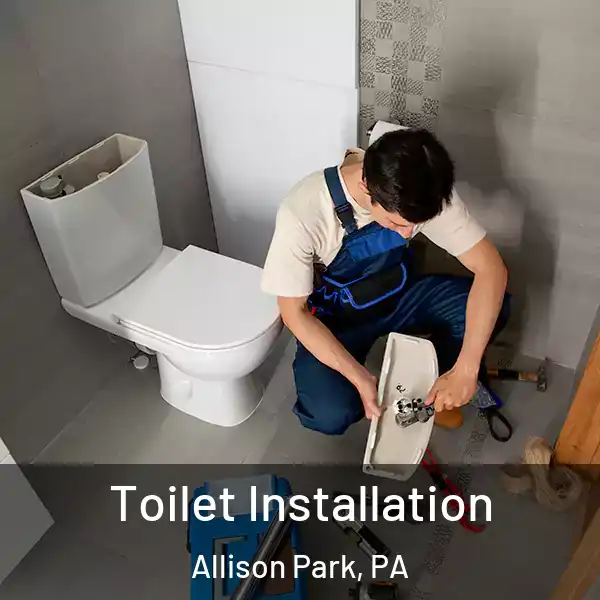  Toilet Installation Allison Park, PA
