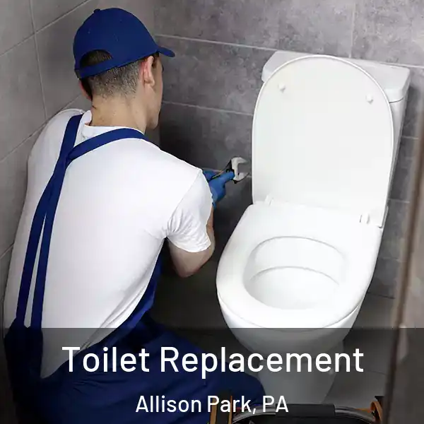  Toilet Replacement Allison Park, PA