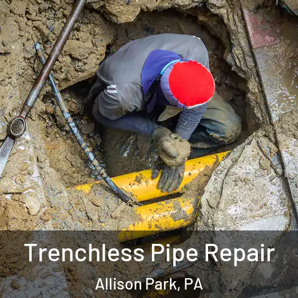  Trenchless Pipe Repair Allison Park, PA