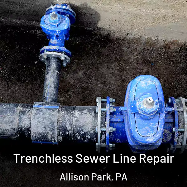  Trenchless Sewer Line Repair Allison Park, PA