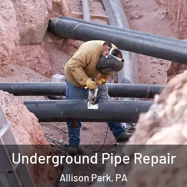  Underground Pipe Repair Allison Park, PA