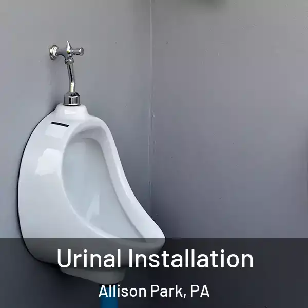  Urinal Installation Allison Park, PA