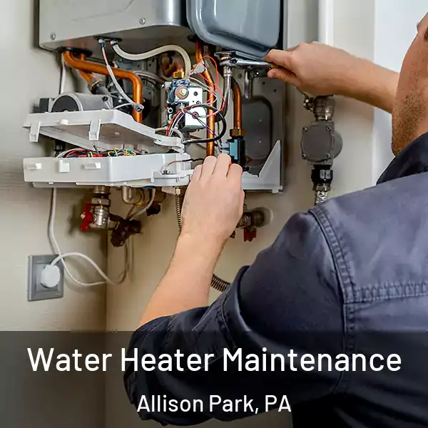  Water Heater Maintenance Allison Park, PA