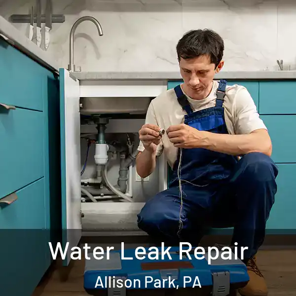  Water Leak Repair Allison Park, PA
