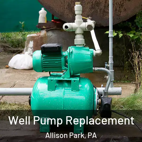  Well Pump Replacement Allison Park, PA